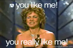 you like me you really like me