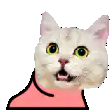 Color Changing Cat