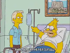 Homer Simpson hospital catheter full