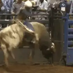 Bull rider gets bucked off
