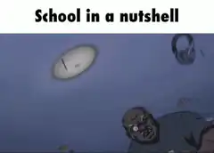 School in a nutshell