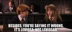 Hermione correcting Ron's spell