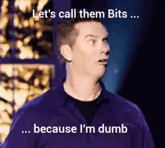Let's call them Bits because I'm dumb