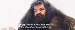 Hagrid You Shouldn't Have Said That