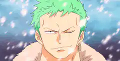 Roronoa Zoro smirking in the snow