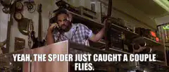 Spider Caught A Couple Flies