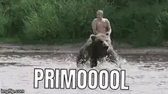 Bear riding man says PRIMO