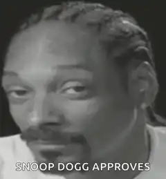 Snoop Dogg Approves