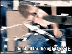 Eminem I did it all for the cookie