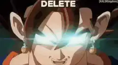 Babidi deletes this shit