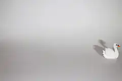 stop motion swans appearing and disappearing