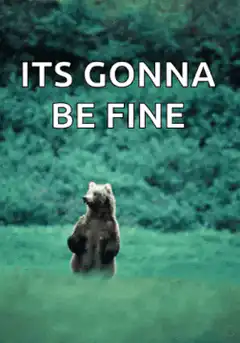 bear standing in field its gonna be fine