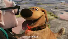 Dog reacts to squirrel