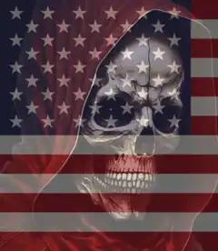Skull in hood with American flag