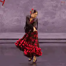 Flamenco dancer in red dress