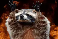 Raccoon with paws up in flames