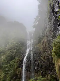misty waterfall in lush green forest