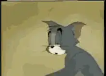 Tom facepalms and cries