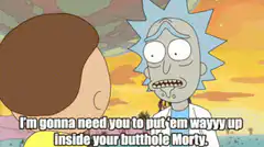 Rick Sanchez explaining the butthole insertion