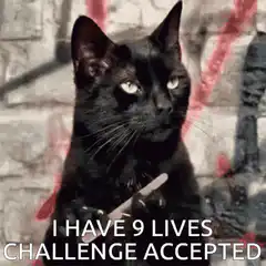 Black Cat Challenge Accepted