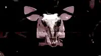 glitchy animal faces