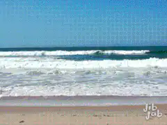 Baby riding dolphin on beach