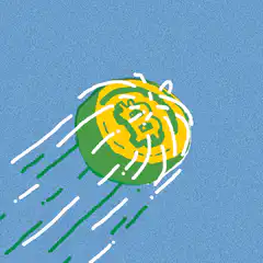Bitcoin coin falling