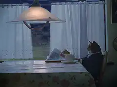 Business Cat reads newspaper and decides to buy a boat