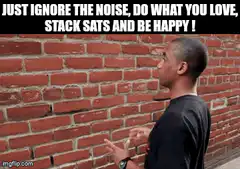 Sign Language Guy Ignore The Noise