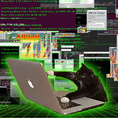Hacker cat typing on laptop