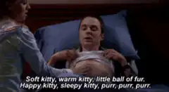 Soft Kitty Sheldon