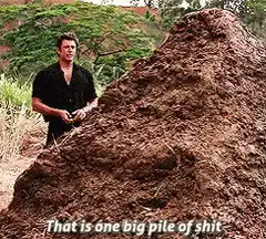 That is one big pile of shit
