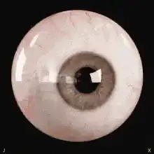 Realistic eye looking around