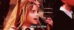 Hermione Granger What an idiot