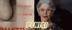 Mrs. Doubtfire Human Anatomy Class