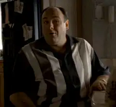 Tony Soprano confused what