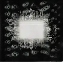 glitchy white square surrounded by eyes