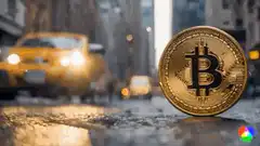Bitcoin coin on wet city street