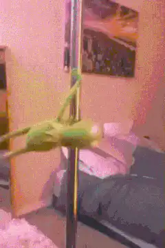 green frog plushie pole dancing