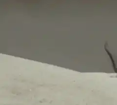 Darth Vader's hand emerges from sand