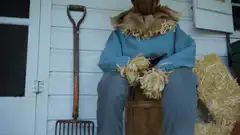 Scarecrow turns head to look