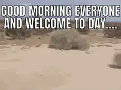 Good morning everyone and welcome to day