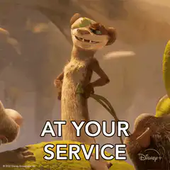 Shenzi at your service