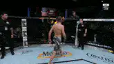 UFC fighter celebrates victory in octagon