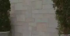 Girl runs into wall