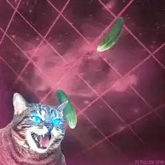 Cucumber Cat Laser Eyes