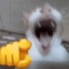 Cat screaming with pointing hand emoji