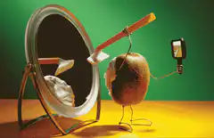 Kiwi fruit taking a selfie in mirror