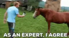 Man interviewing horse with microphone