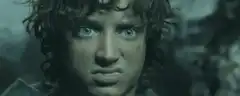 Frodo Baggins wide-eyed stare